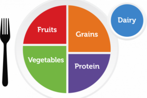 myplate-brand–labelled